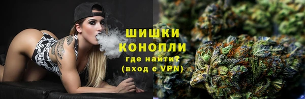 эйфоретик Гусев