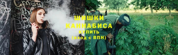тгк Горно-Алтайск